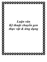 Luận văn Kỹ thuật chuyển gen thực vật và ứng dụng