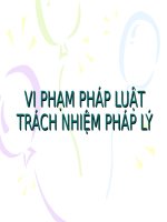 Nhà nước pháp luật   bài VI PHẠM PHÁP LUẬT 