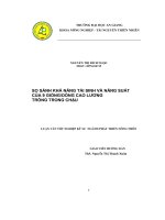 Luận văn So sánh khả năng tái sinh và năng suất của 9 giốngdòng cao lương trồng trong chậu