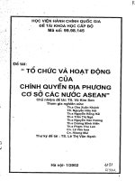 Tổ chức và hoạt động của chính quyền địa phương cơ sở các nước ASEAN 