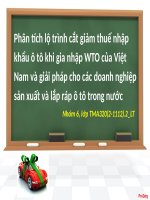Phân tích lộ trình cắt giảm thuế nhập khẩu ô tô khi gia nhập WTO của việt nam và giải pháp cho các doanh nghiệp sản xuất và lắp ráp ô tô trong nước 