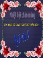 Ngữ văn 9 bài mùa xuân nho nhỏ 