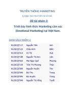 trình bày hình thức marketing cảm xúc (emotional marketing) tại việt nam 