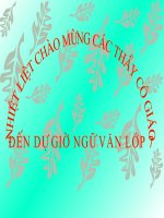 TIẾT 52 HOẠT ĐỘNG NGỮ văn làm thơ lục bát 
