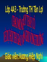 Bài giảng về tính từ LTVC lớp 4 4 