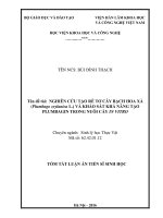 Nghiên cứu tạo rễ cây tơ bạch hoa xà (plumbago zeylanica l ) và khảo sát khả năng tạo plumbagin trong nuôi cấy in vitro (TT) 
