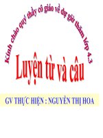 Mở rộng vốn từ ý chí nghị lực LTVC lớp 4 3 