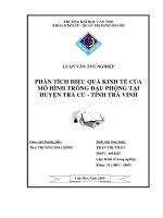 Phân tích hiệu quả kinh tế của mô hình trồng đậu phộng tại huyện trà cú  Tỉnh Trà Vinh