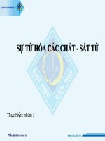 SỰ từ hóa các CHẤT   sắt từ 