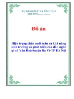 Hiện trạng chăn nuôi trâu và khả năng sinh trưởng và phát triển của đàn nghé tại xã Vân Hoà  Huyện Ba Vì  TP Hà Nội