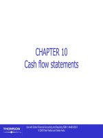CHAPTER 10 cash flow statements 