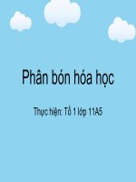 Bai 16 phan bon hoa hoc 
