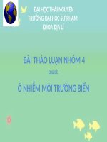 BÀI THẢO LUẬN NHÓM 4 chủ đề ô NHIỄM môi TRƯỜNG BIỂN 