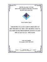 Ảnh hưởng của luân canh và phân hữu cơ đến tính bền cấu trúc, mức độ đóng váng và xác định ẩm độ thích hợp để làm đất của đất phù sa tại Cai Lậy  Tiền Giang