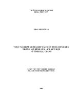 Thực nghiệm nuôi ghép cá chép dòng hungary trong mô hình lúa – Cá kết hợp ở tỉnh Hậu Giang
