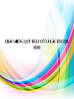 Bài đọc thêm 3  học vẽ hình hình học động với geogebra 