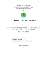 Xác định gen gây độc và tính đa dạng di truyền của nấm Metarrhizium Anisopliae ký sinh trên côn trùng