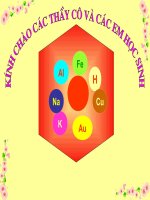 bai 23 thuc hanh  tinh chat hoa hoc cua nhom va sat 