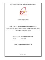 Đào tạo và phát triển nguồn nhân lực tại Công ty Phát triển Công nghệ Thái Sơn (TSD)