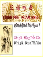 Tuần 27  tình cảnh lẻ loi của người chinh phụ 