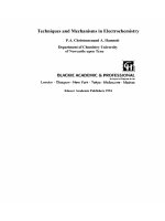 Techniques and mechanisms in electrochemistry p a  christensen, a  hamnet 