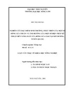 Nghiên cứu đặc điểm sinh trưởng, phát triển của một số dòng, giống lúa thuần và ảnh hưởng của một số biện pháp kỹ thuật đến năng suất của dòng lúa CL0