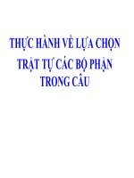 Thực hành lựa chọn trật tự trong câu 
