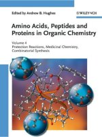 Amino acids, peptides and proteins in organic chemistry volume 4   protection reactions, medicinal chemistry, combinatorial synthesis (amino acids, peptides and proteins in organic chemistry (VCH))  andrew b  h