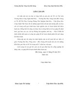 Nghiên cứu tạo dòng tế bào lai sinh kháng thể đơn dòng kháng AFP hỗ trợ chẩn đoán sớm bệnh ung thư tế bào gan ở người