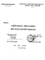 Chẩn đoán tiên lượng sốt xuất huyết DENGUE có choáng 