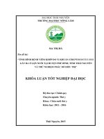 Tình hình bệnh viêm khớp do vi khuẩn streptococcus suis gây ra ở lợn nuôi tại huyện phú bình   tỉnh thái nguyên và thử nghiệm phác đồ điều trị 