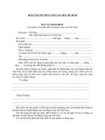 ĐOÀN THANH NIÊN CỘNG sản hồ CHÍ MINH