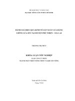 Đánh giá hiệu quả kinh tế sản xuất lúa bằng giống lúa HT1 tại huyện Phú Thiện, Gia Lai