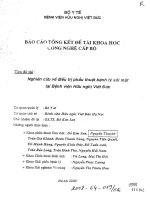 Nghiên cứu về điều trị phẫu thuật bệnh lý sỏi mật tại bệnh viện hữu nghị việt đức 