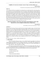 68 77 NGHIÊN cứu sản XUẤT rượu VANG từ QUẢ XƯƠNG RỒNG GAI đinh hữu đông