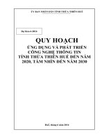 ỨNG DỤNG VÀ PHÁT TRIỂN CÔNG NGHỆ THÔNG TIN TỈNH THỪA THIÊN HUẾ ĐẾN NĂM 2020, TẦM NHÌN ĐẾN NĂM 2030