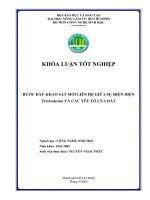 Bước đầu khảo sát mối liên hệ giữa sự hiện diện trichoderma và các yếu tố của đất