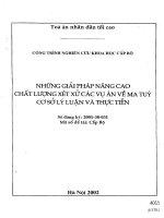 Những giải pháp nâng cao chất lượng xét xử các vụ án về ma túy cơ sở lý luận và thực tiễn 