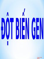 Bài 4  đột biến gen   sinh học 12 