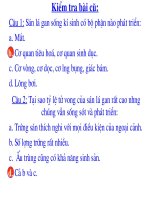 Bài 12  một số giun dẹp khác và đặc điểm chung của ngành giun dẹp   sinh học 7 