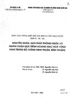 Nguyên nhân, giải pháp phòng ngừa và ngăn chặn quá trình hoang mạc hóa vùng nam trung bộ 