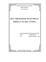 Đề tài Quy trình kinh tế kĩ thuật trồng cây đậu tương