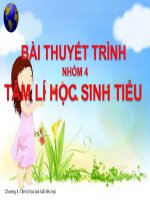 BÀI THUYẾT TRÌNH NHÓM 4 tâm lí học SINH TIỂU 