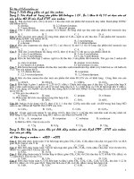 Phan dang bai tap ve ankan 