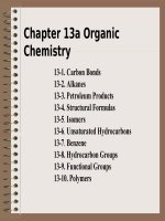 C13 organic chemistry 