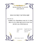 Nghiên cứu tình hình canh tác và tiêu thụ lúa của nông hộ tại xã Yang Tao, huyện Lak, tỉnh DakLak