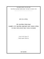 Tín ngưỡng tống hậu nghiên cứu trường hợp đền mẫu ninh cường (xã trực phú, huyện trực ninh, nam định) 