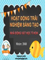 HOẠT ĐỘNG TRẢI NGHIỆM SÁNG tạo 