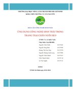 Ứng dụng công nghệ sinh thái trong trang trại chăn nuôi heo