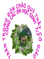 Tính chất ba đường trung tuyến của tam giác   hình học 7 